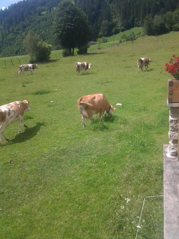Ferienwohnungen Behamhof Neukirchen am Großvenediger Extérieur photo